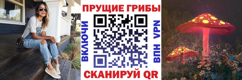 Галлюциногенные грибы прущие грибы  купить   Туймазы 